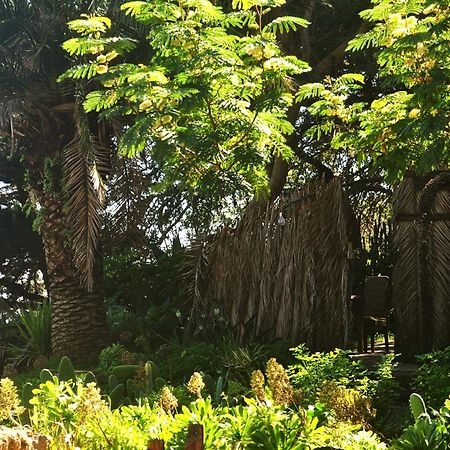 Studio Mazo The Glamping Lodero المظهر الخارجي الصورة